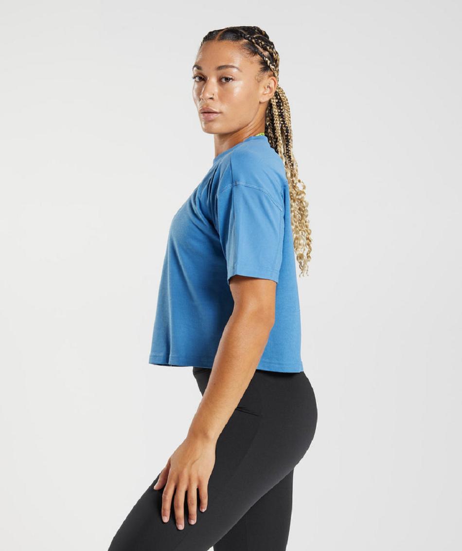 Przycięte Topy Damskie Gymshark Gs Power Midi Niebieskie | PL 2613WNB